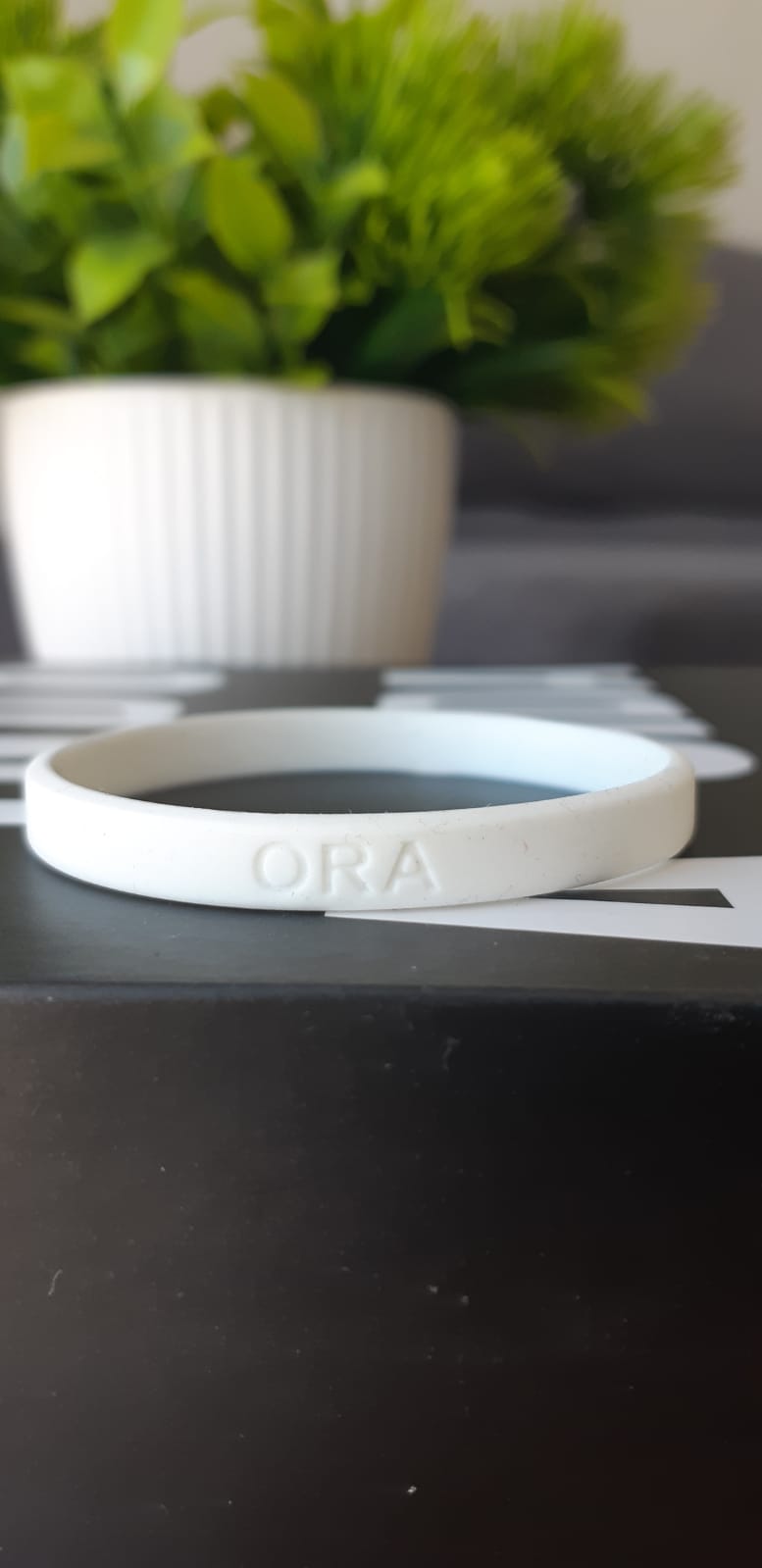 WhatsApp Image 2026-01-05 at 11.10.43.jpeg