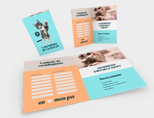 carteririnha papel.jpg