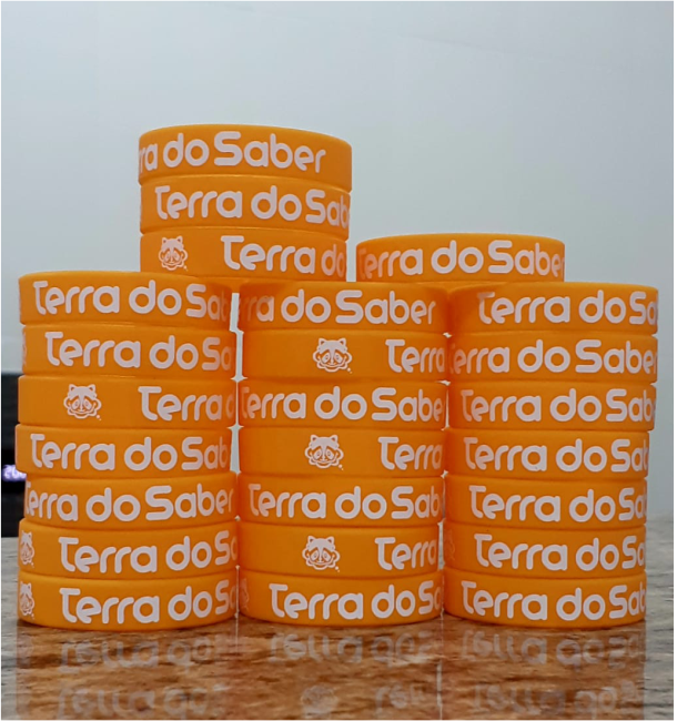 terra do saber bg mg.png